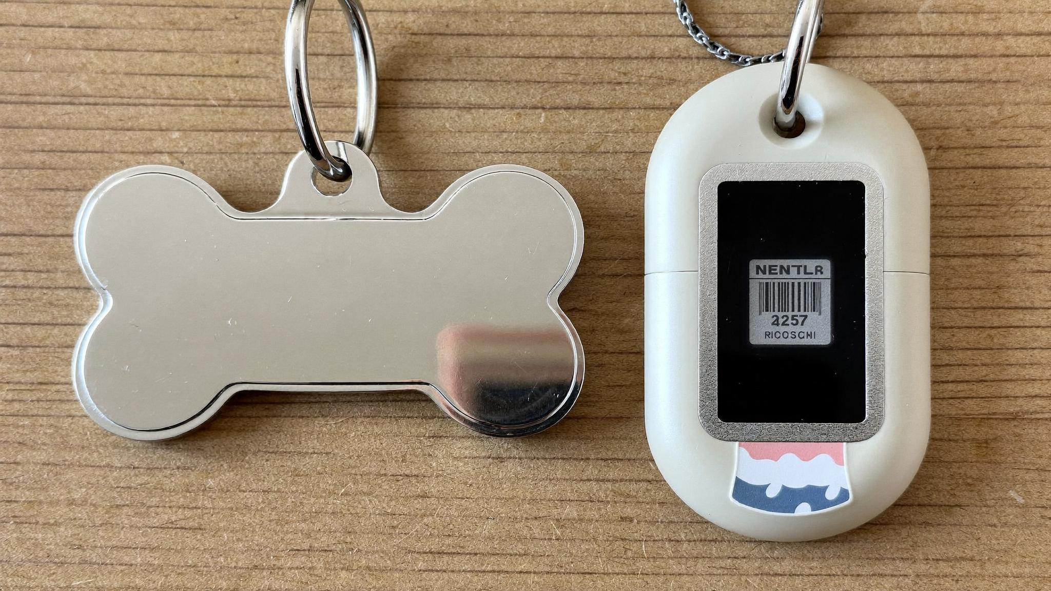 A plain metal bone-shaped dog tag next to a modern colorful NFC smart pet tag