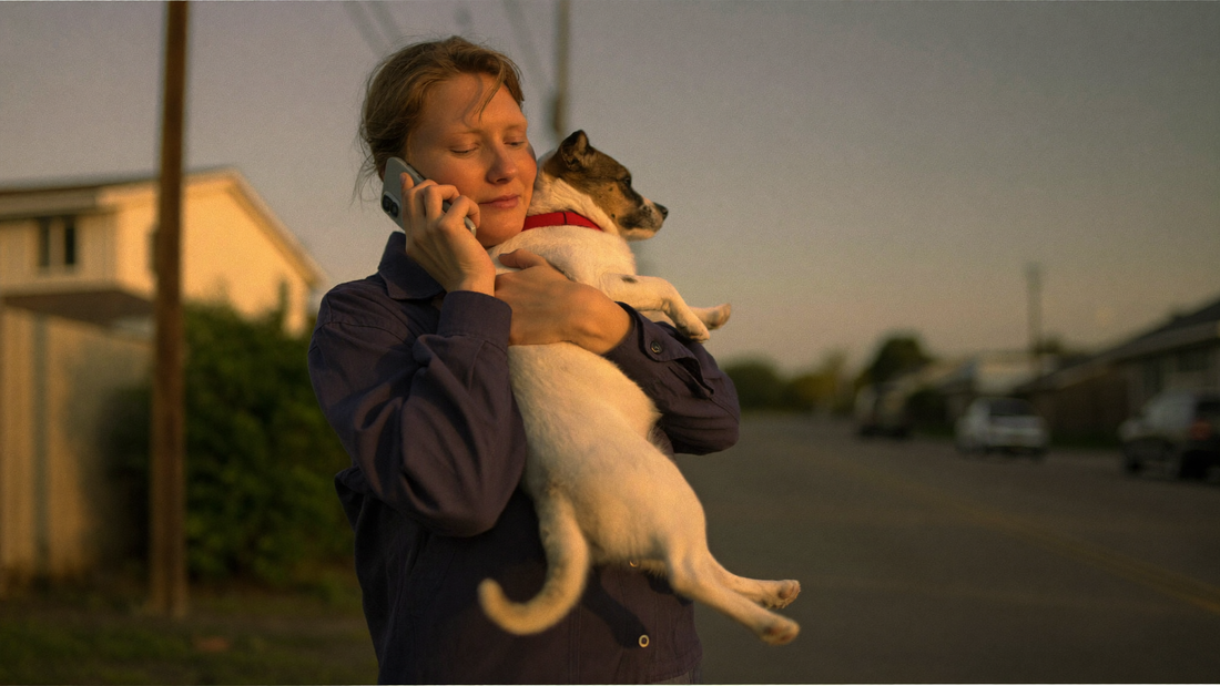 A pet owner outdoors at golden hour holding their pet, phone in hand