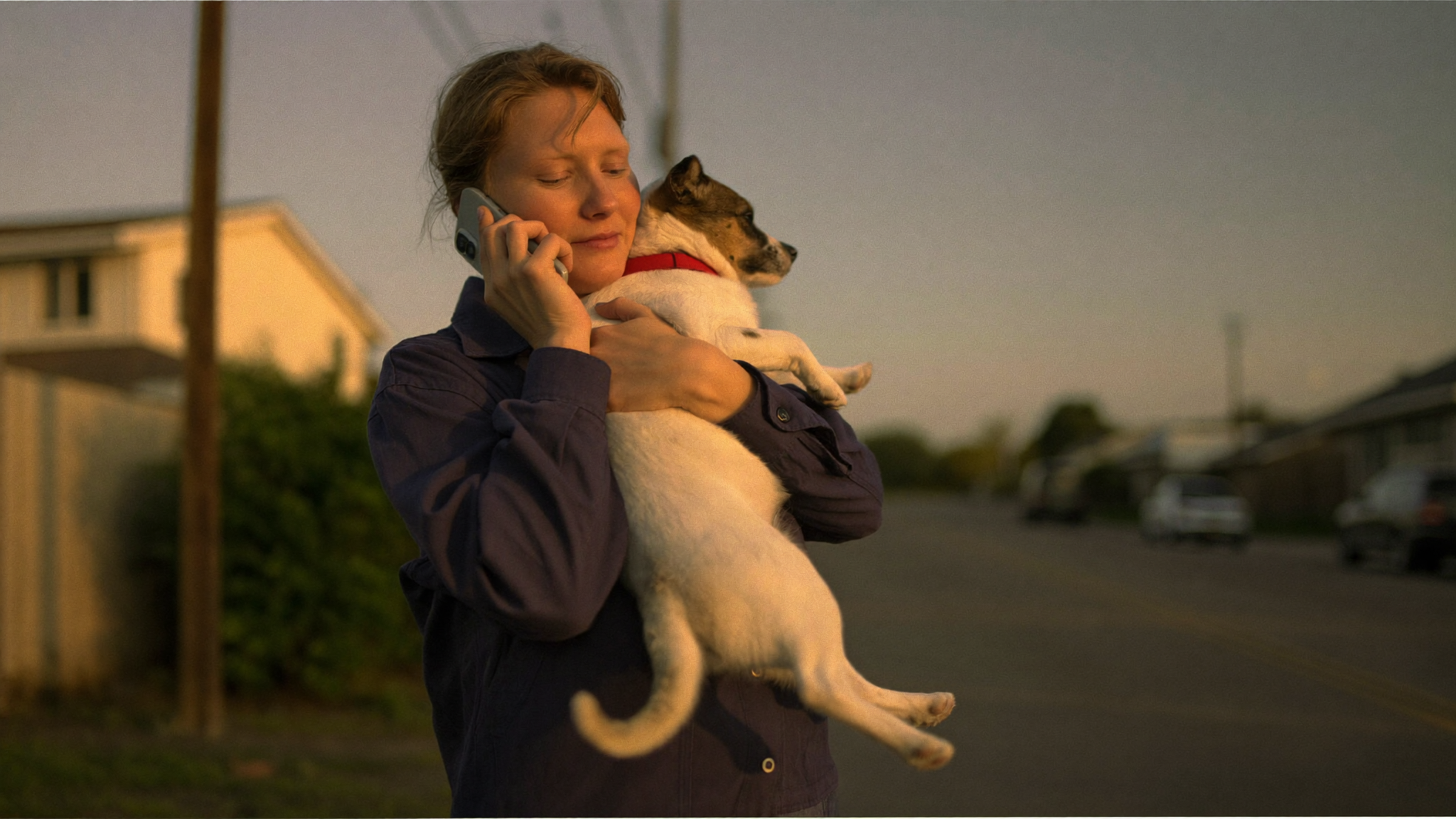A pet owner outdoors at golden hour holding their pet, phone in hand