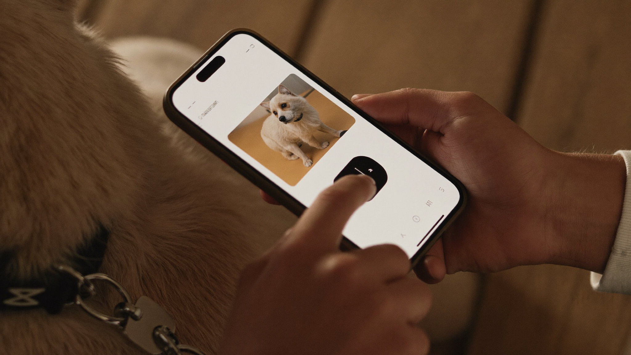 A person tapping a smartphone against a pet's NFC collar tag, the screen showing a pet profile